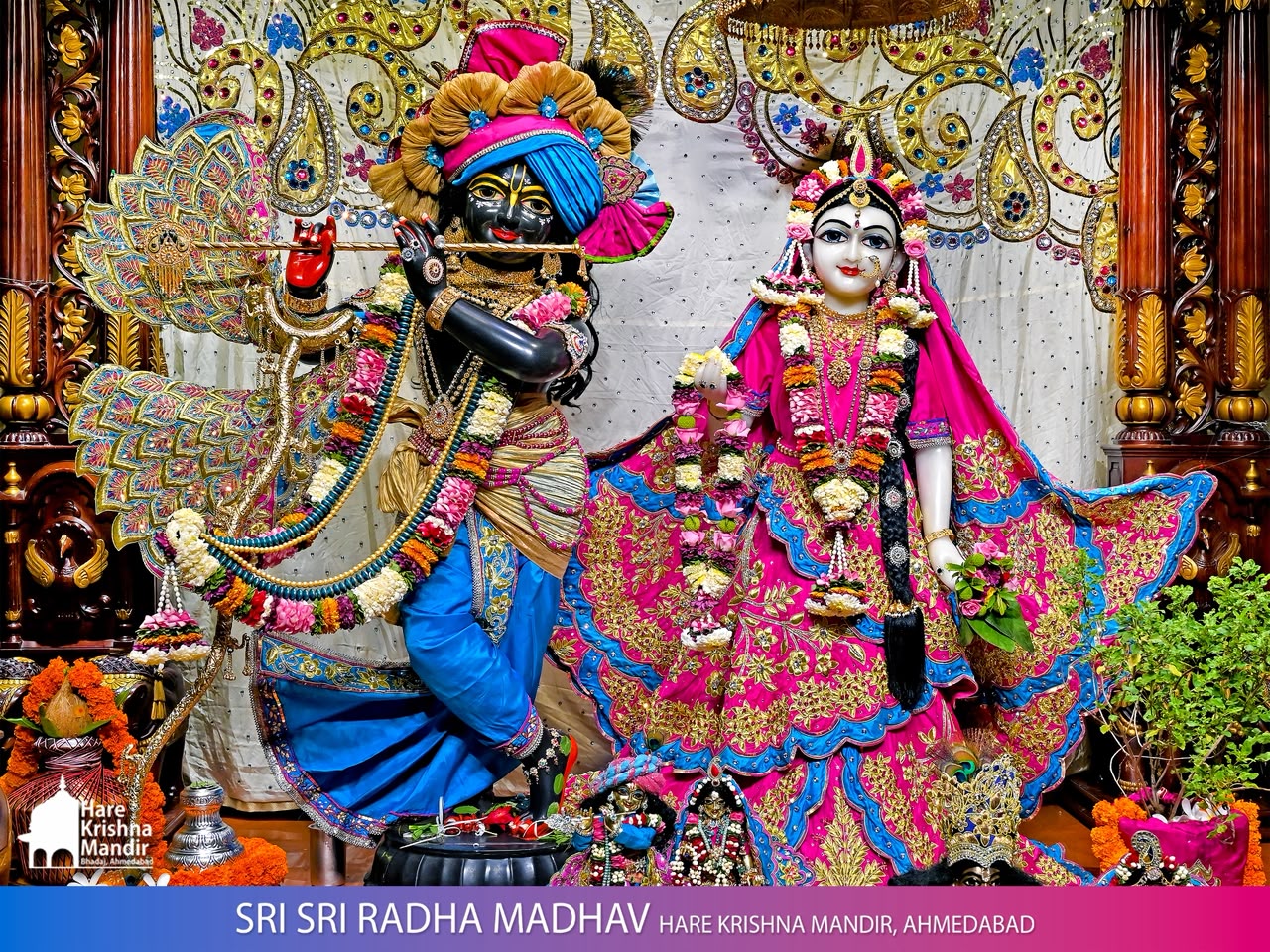 2026-08-18 Darshan